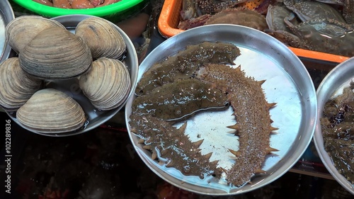 Alive seafood at the Jagalchi Fish Market (Trepang, Gaebul & Seashells). Busan photo