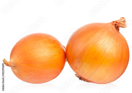 Bright golden onions