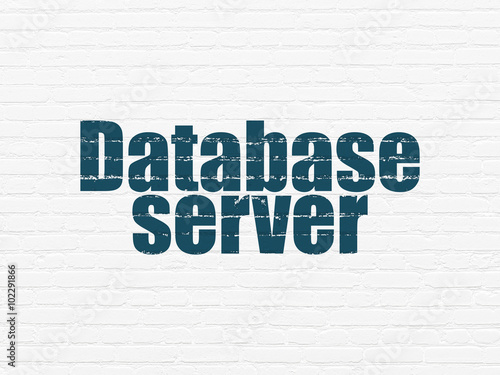 Software concept: Database Server on wall background
