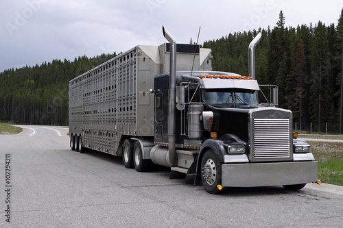 Schweinetransporter in Kanada