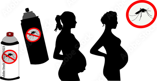 zika virus 