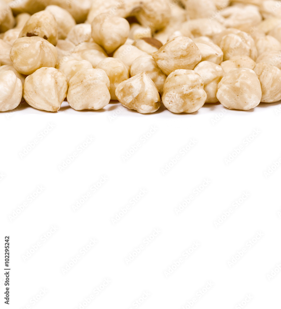 hazelnuts on a white background hazelnuts on a white background