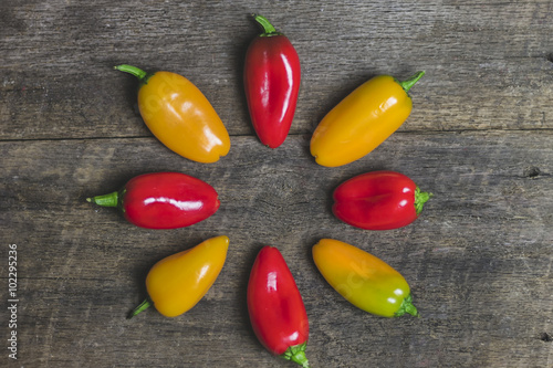 Yellow and Red Vegetable Peppers on Wood Background