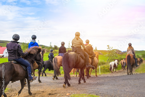 Group of horseback riders ride  in Iceland © lkoimages