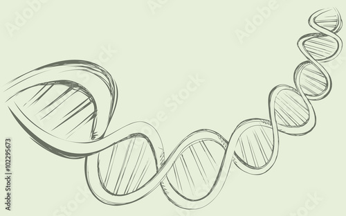 DNA chain in develop, functioning and reproduction of living organisms and many viruses. Vector freehand ink drawn backdrop sketch in art doodle style pen on paper. View close-up with space for text