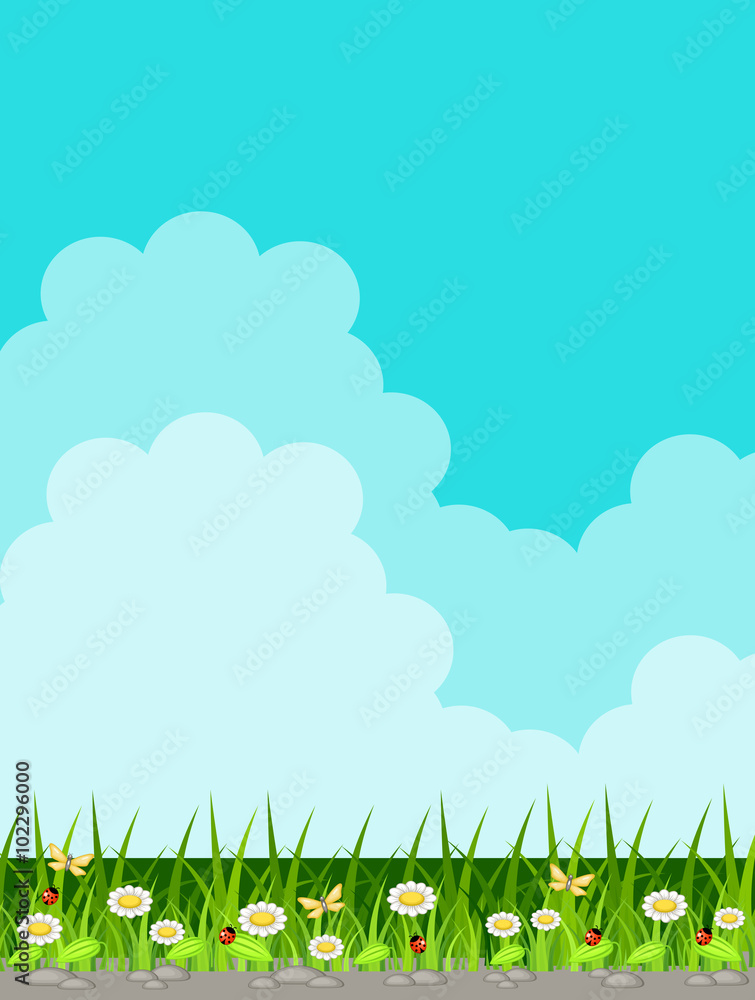 Fototapeta premium Background with grass and sky