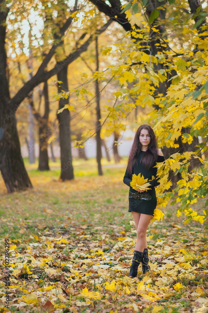 young brunette in autumn park young brunette in autumn park