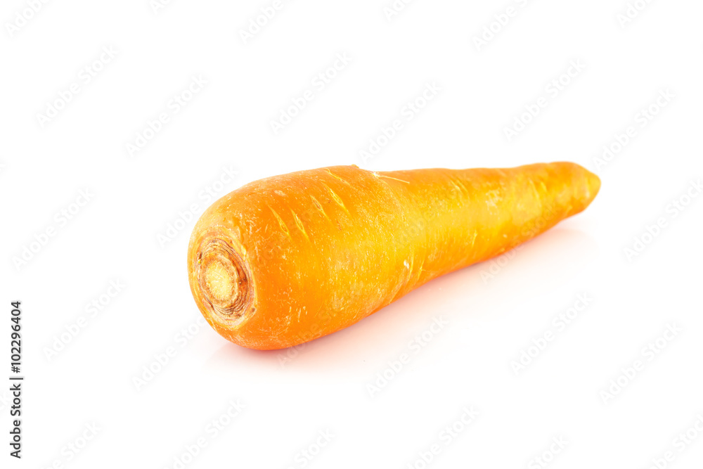 carrots on white background carrots on white background