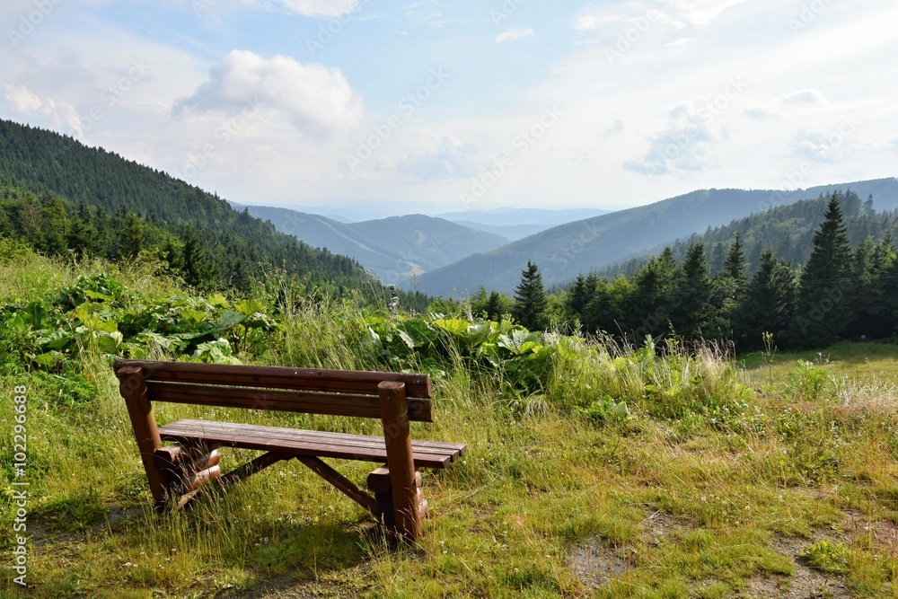 Mountains in summer. Mountains Czech Republic Jeseniky. Bench in the mountains for rest and relaxation in nature.