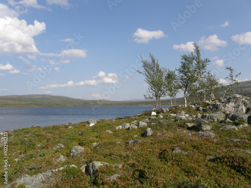 Arctic landscape with a lake, rocks and dwarf birch-trees near Kilpisjarvi, Lapland, Finland
