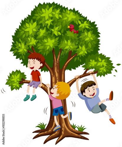 Three boys climbing the tree