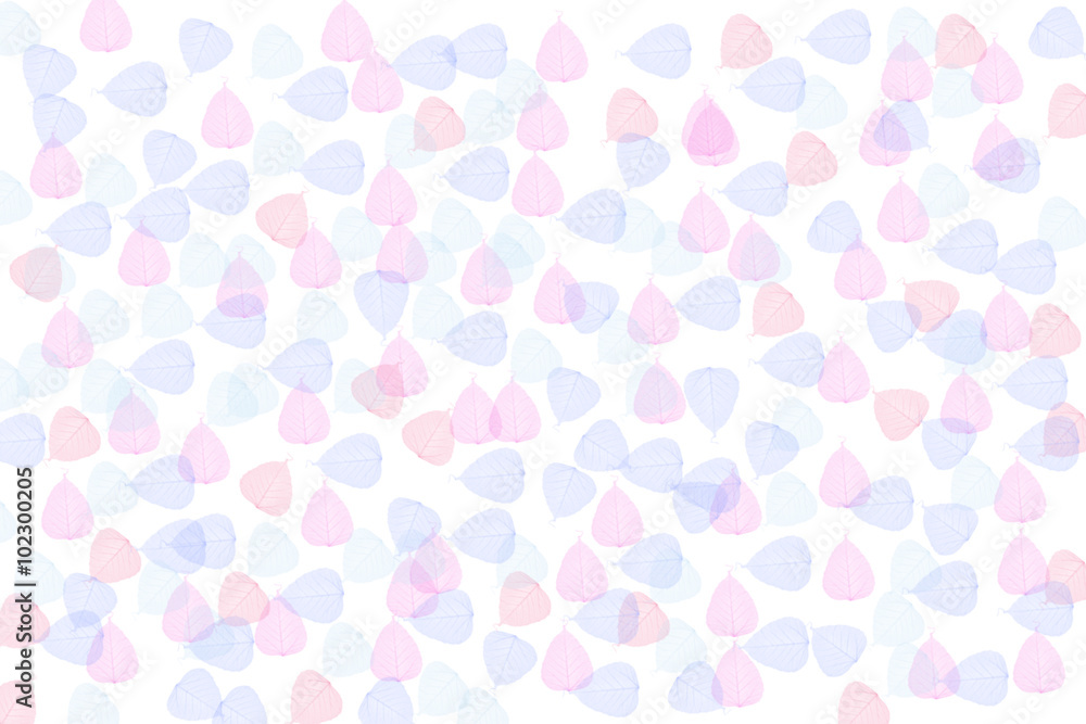 The small pink and blue leaf as background The small pink and blue leaf as background