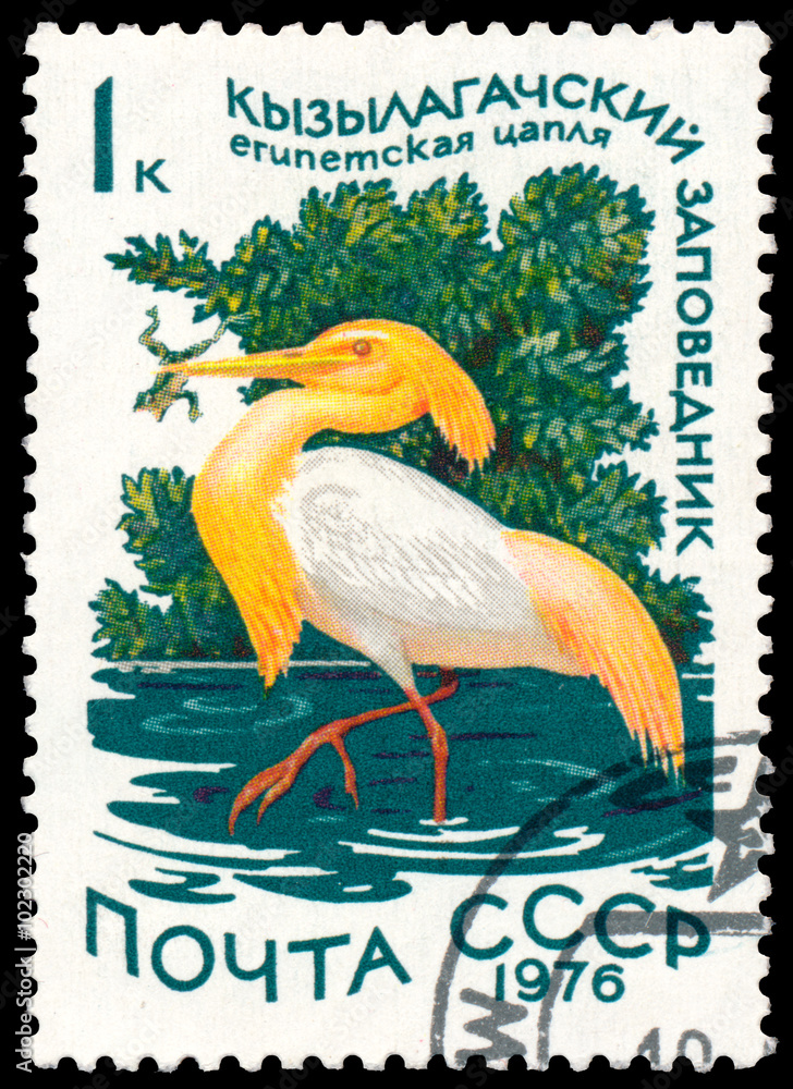 Stamp printed in Russia shows bird Cattle Egret