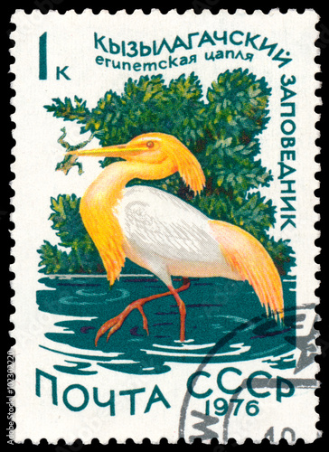 Stamp printed in Russia shows bird Cattle Egret
