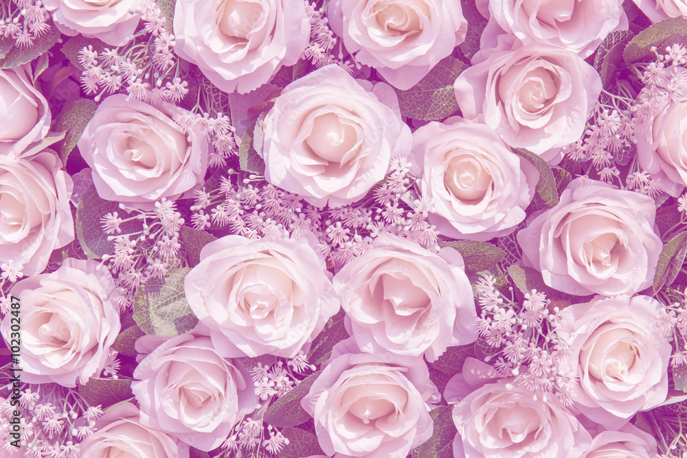 White roses as a background