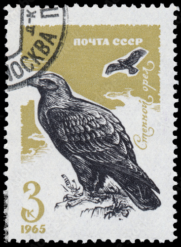 Obraz na płótnie Stamp printed in the USSR shows Tawny eagle w salonie
