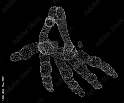 Human  hand skeleton