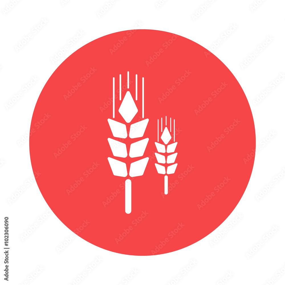 Obraz premium spica icon