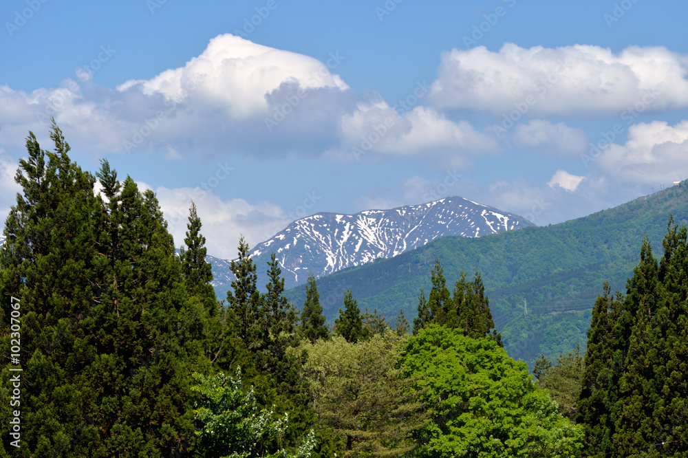 ひるがの高原の山岳風景