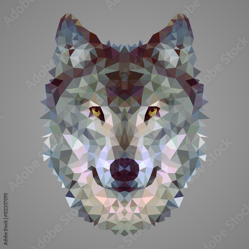 Wolf low poly portrait