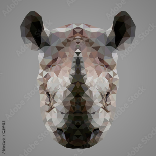 Rhinoceros low poly portrait