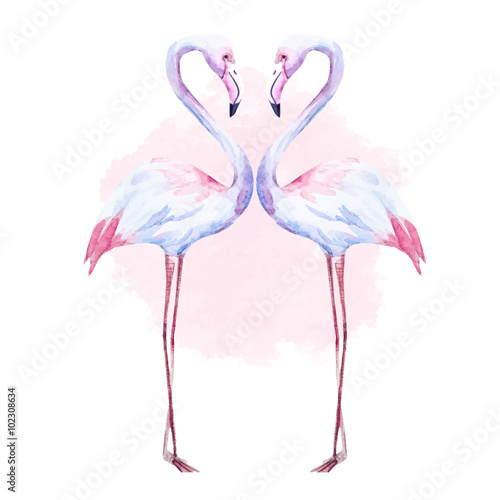 Nice watercolor flamingo