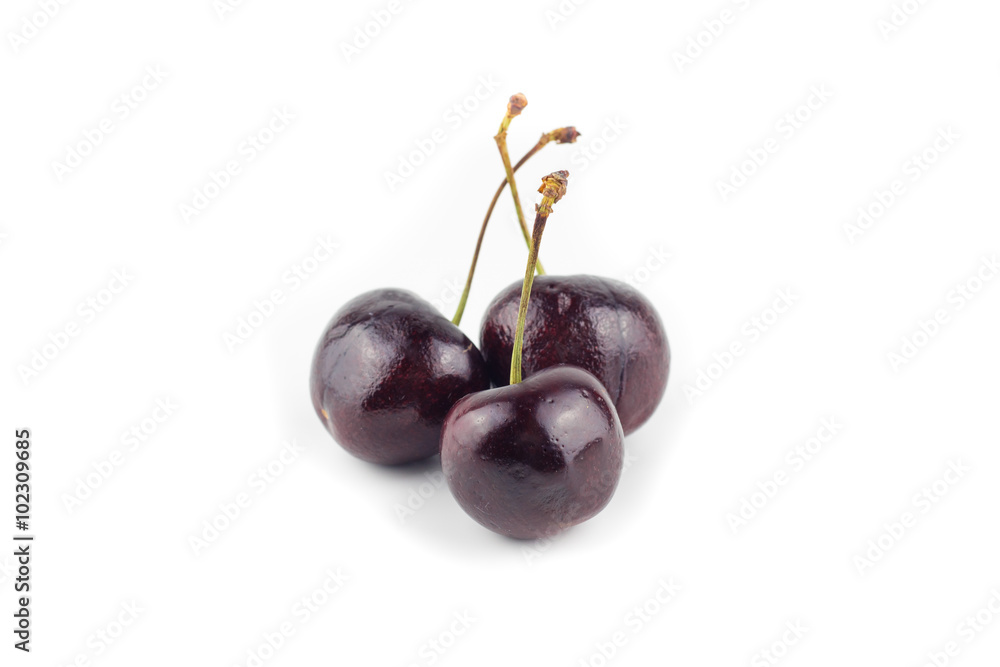 Fresh dark purple cherry isolated white background Fresh dark purple cherry isolated white background