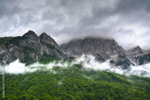 Mountain ridge in the clouds and forest on the slope