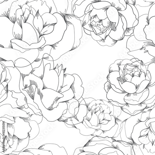 Fototapeta Naklejka Na Ścianę i Meble -  Black and white vector floral seamless pattern with linear roses