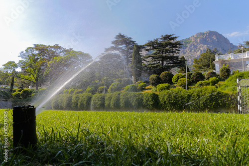 View of the  lawn that is watered
