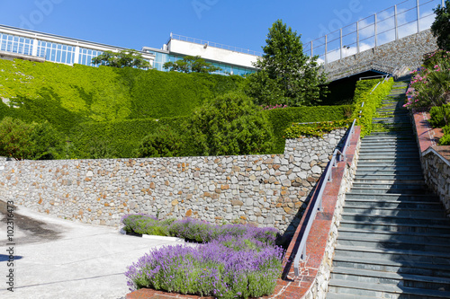 View of the old walls are covered with ivy