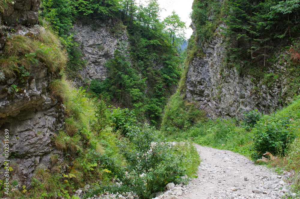 Path in Homole Gorge, Pieniny Mountains, Poland Path in Homole Gorge, Pieniny Mountains, Poland