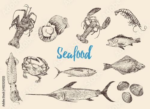 Hand drawn sketch set of seafood.