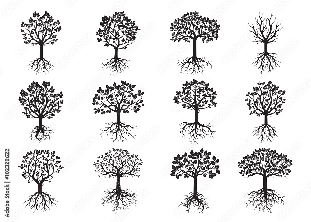 Set of Green Trees and Roots. Vector Illustration. - obrazy, fototapety, plakaty 