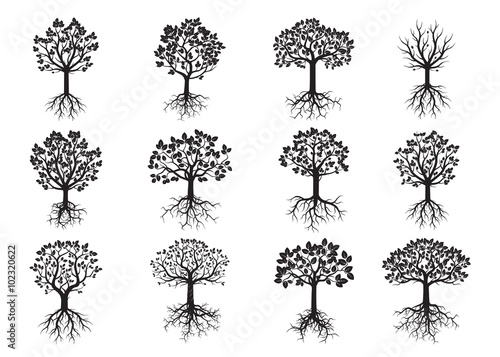 Set of Green Trees and Roots. Vector Illustration.