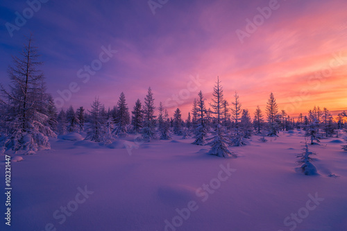 Winter landscape with forest, clouds on the blue sky and sun  © Olonkho
