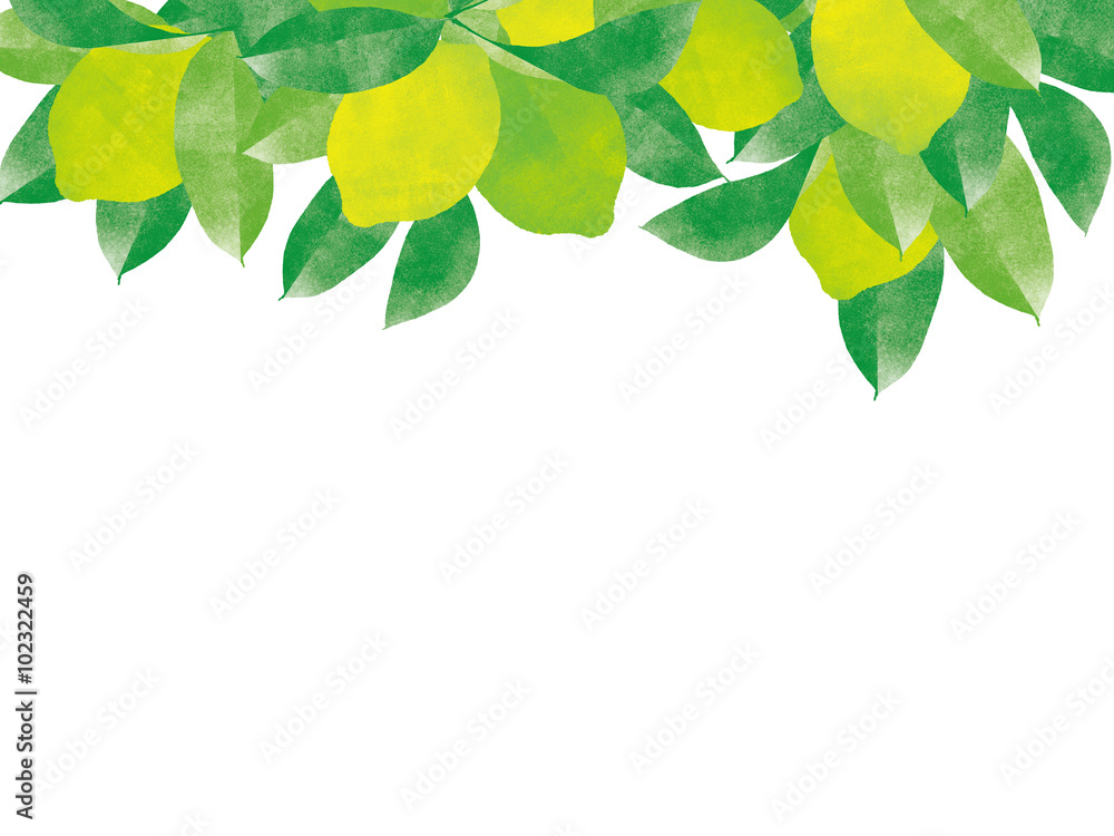 Fototapeta premium Natural organic juicy lemon tree branch background