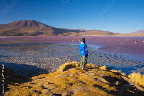 Tourist at  Laguna Colorada  on the Bolivian Andes