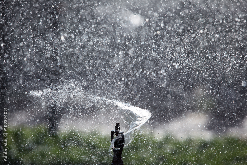 Fototapeta premium water sprinkler splash background.