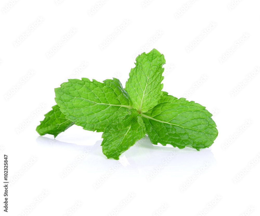 mint on white background mint on white background