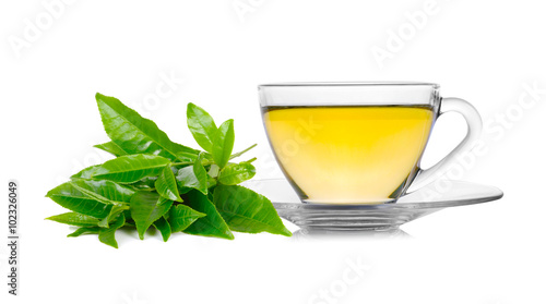Glass cup of green tea isolated on white background