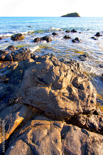 andilana beach seaweed   indian ocean  mountain     and rock photo