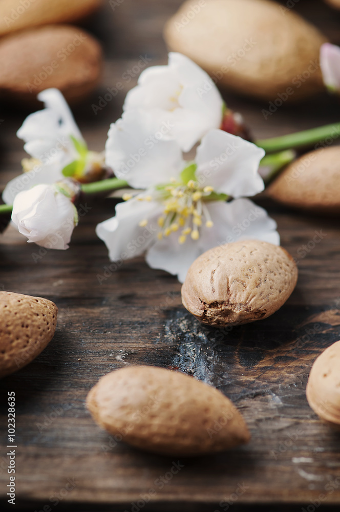 Fresh almond and flowers on the wooden table Fresh almond and flowers on the wooden table