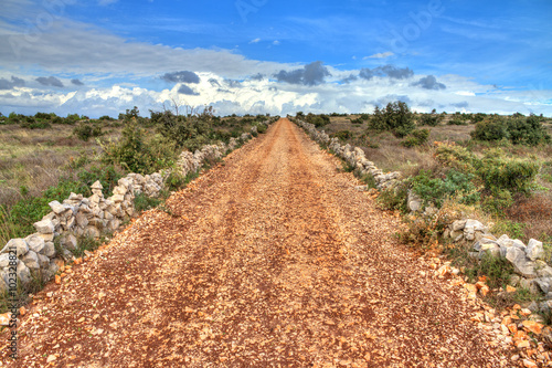 Country road up a hill leading towards a beautiful cloudscape