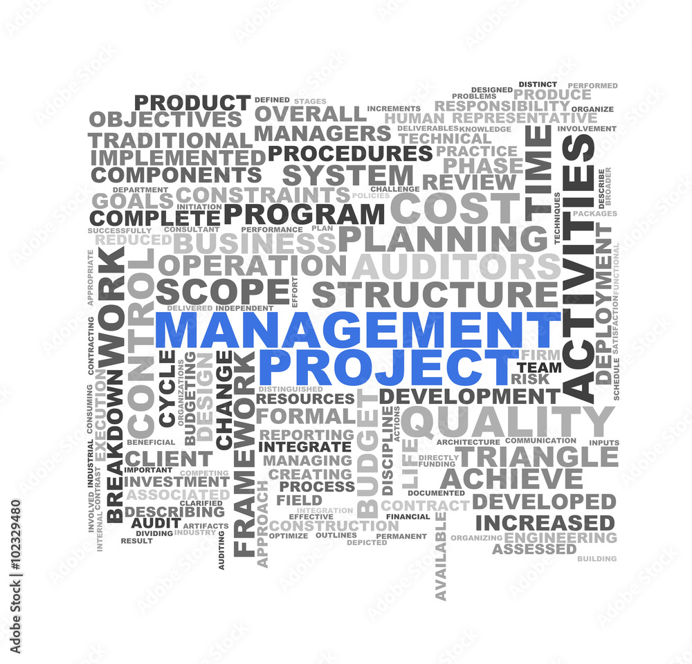 Word tags wordcloud of project management