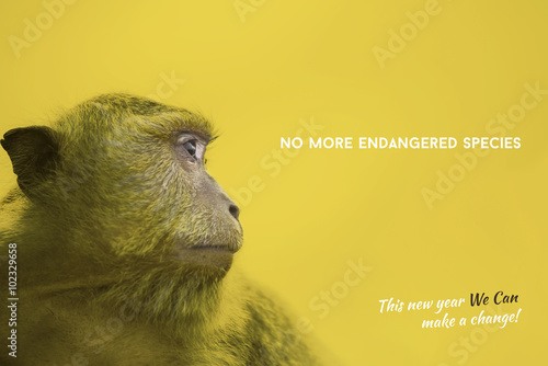 Endangered species awareness with wild monkey photo