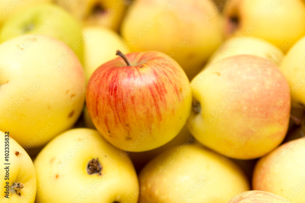 ripe juicy apples as background