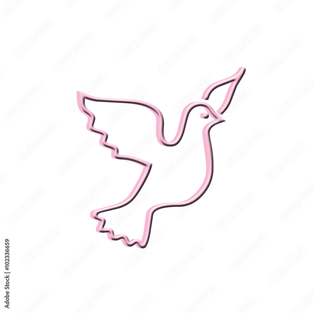 Flying dove on white background