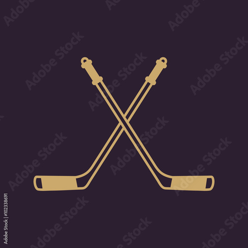 Photography Hockey icon. Sport symbol. Flat