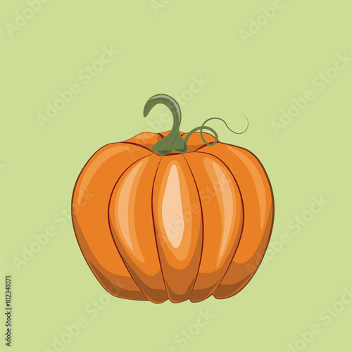 Fresh Pumpkin on green background. Vector